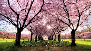 CaiRo Addict Lyrics [upl. by Adgam]