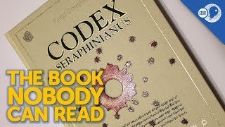 The Book Nobody Can Read Codex Seraphinianus [upl. by Ardnwahs]