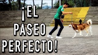 El PASEO PERFECTO con un PERRO IMPOSIBLE  MartGon [upl. by Richella]