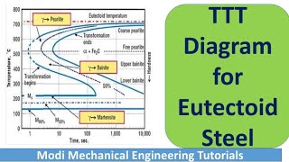 TTT Diagram for Eutectoid Steel  TTT Phase diagram  Material science and Metallurgy [upl. by Latoye]