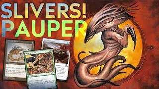 The Slivers Super Show  MTG Pauper [upl. by Netsrik]