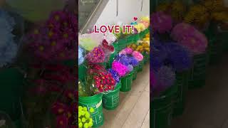 Flower shops in North York  Toronto [upl. by Avin]