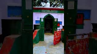 Hazrat Nasruddin Shah RA Ki Dargah  Amroha ki dargah  Allah Ke wali ki karamat  Amroha  Short [upl. by Rosaline]