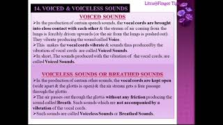 Organs of Speech RespiratoryPhonatoryArticulatory Voiced amp VoicelessOralNasalNasalized Sounds [upl. by Mccready686]