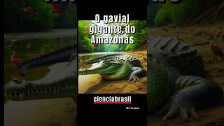 O gavial gigante da Amazônia [upl. by Ettolrahc]