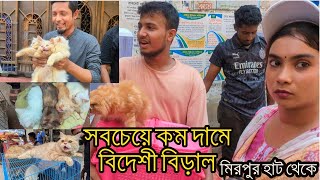 খুবই কম দামে বিক্রি হচ্ছে মিরপুর পাখির হাটে পারসিয়ান বিড়াল  Persian cat  low price in bd cat [upl. by O'Carroll746]