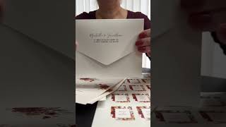 Trifold all in one wedding invitations  how to [upl. by Aihtekal]