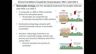 Virology Chapter 13 Part 1 [upl. by Eram]