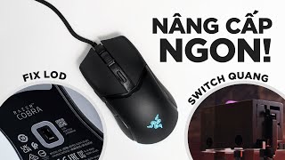 Razer Viper Mini v2 NGON hơn bạn nghĩ Đánh giá Razer Cobra [upl. by Eveivenej]