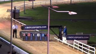 Boylesports com Irish Greyhound Derby Round 3 [upl. by Jillene305]