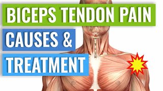 Biceps Tendonitis Treatment and Exercises Explained [upl. by Robinetta]