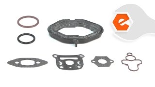 Chainsaw Repair  Installing the Cylinder Gasket and ORing Kit Poulan Part  530071894 [upl. by Hairas637]