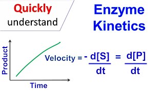 Enzyme kinetics [upl. by Maidy672]