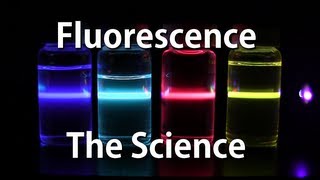 How Fluorescence Works  The Science [upl. by Orelie]