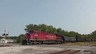 CP 8006 North 91024 [upl. by Aisela]