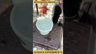 archimedes principle  science experiments experiment science shorts [upl. by Eldoree]