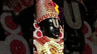 Sri Venkateswara swamy🙏govinda balaji devotional god [upl. by Ddahc152]