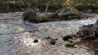 十和田湖・奥入瀬渓流風景Lake Towada and Oirase Gorge Scenery [upl. by Sanfo]