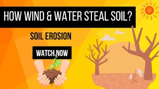 “Soil Erosion Explained 🌍 Why Does Soil Disappear” [upl. by Dulcia]