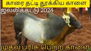 First Price winner of alanganallur jallikattu 2024 [upl. by Mario]