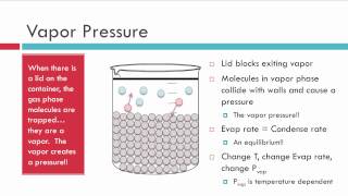 Evaporation Vapor Pressure and Boiling [upl. by Noreen]