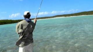 Trophy Bone Fish in Exuma Island [upl. by Demetris]