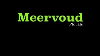 Afrikaans  Meervoude Plurals  Part 1 of 2 [upl. by Azer941]