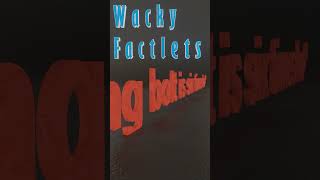 Wacky Factlets [upl. by Ylliw]