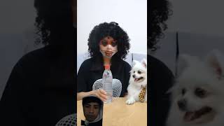 prank funny smartnico comedy nicoo dog prankwar challenge [upl. by Lered]