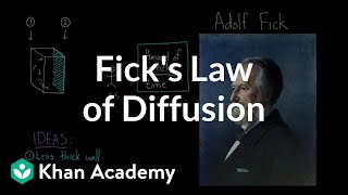 Ficks law of diffusion  Respiratory system physiology  NCLEXRN  Khan Academy [upl. by Amahcen]