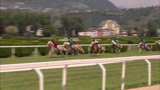 Haflinger Galopprennen in Meran [upl. by Kannav]