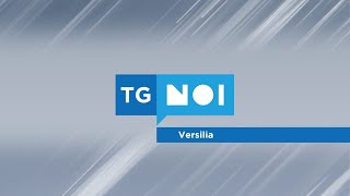 Tg Noi Versilia  11072024 [upl. by Neelav]