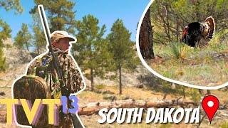 MERRIAMS in the PONDEROSA PINES  Turkey Hunting South Dakota [upl. by Idelia]