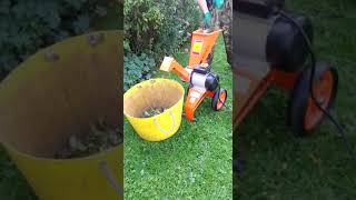 Forest Master electric wood chipper chipping hawthorn [upl. by Scriven477]