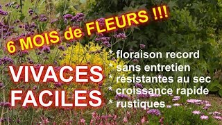 VIVACES FACILES à TRES LONGUE FLORAISON  5 super plantes [upl. by Sou]