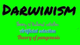 Darwinism  Theories of evolution Theory of pangenesis Artificial selection Natural selection [upl. by Arymahs]