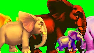 Colourful Elephant Running Green Screen Effects Like Go Where greenscreeneffects [upl. by Netsua]