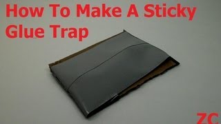 How To Make A Sticky Glue Trap For Pests And Insects [upl. by Leuqer]