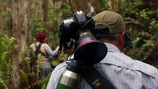 Clyde Butcher Photo Swamp Safari [upl. by Sirois645]