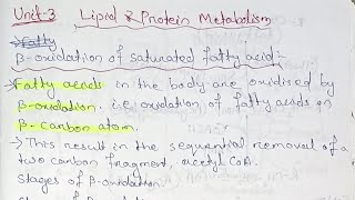 Lipid and Protein Metabolism Unit 3 Semester 4 paper 10 bsczoology biochemistry [upl. by Kowatch]