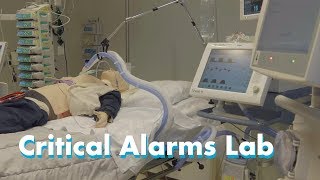 Critical Alarms Lab [upl. by Gyatt17]