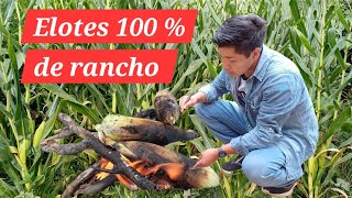 Asi prepare unos deliciosos elotes asados a la brasa en medio del campo 🌽100 de rancho [upl. by Hniv]