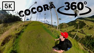 Cocora Valley Colombia in Virtual Reality  360° Video [upl. by Alyos]