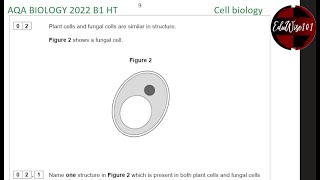 AQA GCSE Biology 2022  Paper 1 Q2 Higher Tier Past paper Questions walk through on Cell Biology [upl. by Hoo]