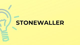 What is the meaning of the word STONEWALLER [upl. by Adlaremse]