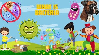 Meet the Tiny Heroes  Exploring the World of Bacteria  kids English Science learning  kids video [upl. by Samohtnhoj]