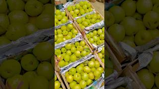 Fresh fruit nashpti price today nashpati shorts fruitmandihsp streetfood [upl. by Ihcekn]