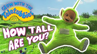 🔴 Teletubbies Full Episodes  247 LIVE Stream  Shows For Kids [upl. by Janie304]