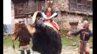 The Brokpa people of Bhutan [upl. by Barbey]