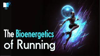 The Bioenergetics of Running  Your Bodys Energy Systems [upl. by Sokem239]